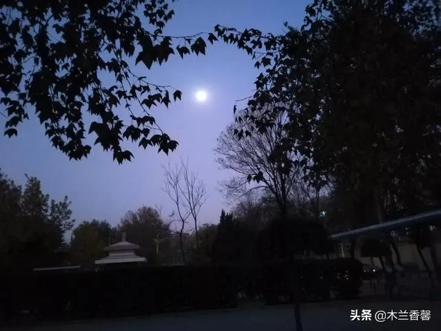 生活摄影艺术
