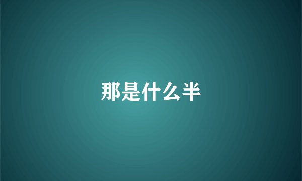 那是什么半