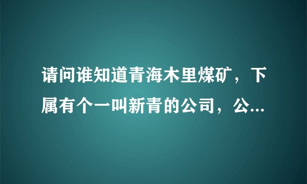 请问谁知道青海木里煤矿，下属有个一叫新青的公司，公司情况如何？谢谢