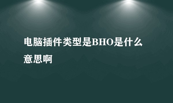 电脑插件类型是BHO是什么意思啊