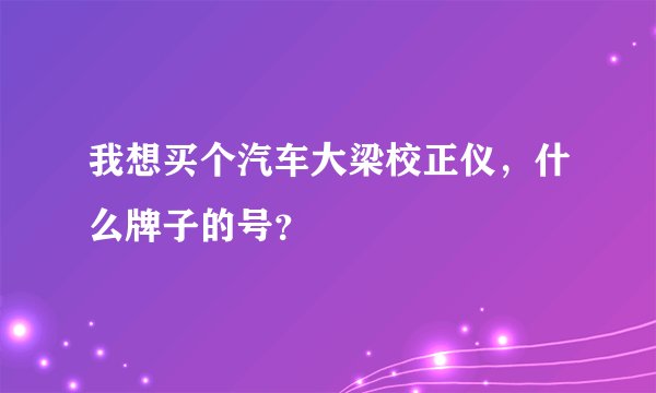 我想买个汽车大梁校正仪，什么牌子的号？