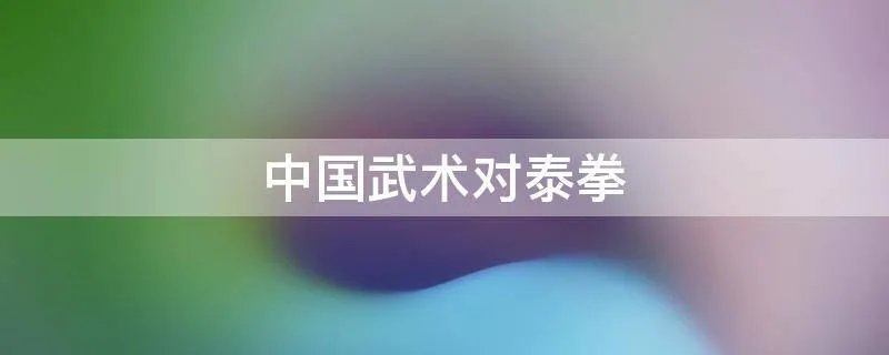 中国武术对泰拳