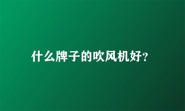 什么牌子的吹风机好？