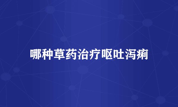 哪种草药治疗呕吐泻痢