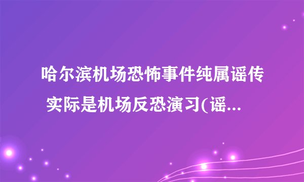 哈尔滨机场恐怖事件纯属谣传 实际是机场反恐演习(谣传者被抓)(2)