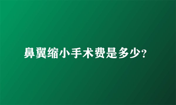 鼻翼缩小手术费是多少？