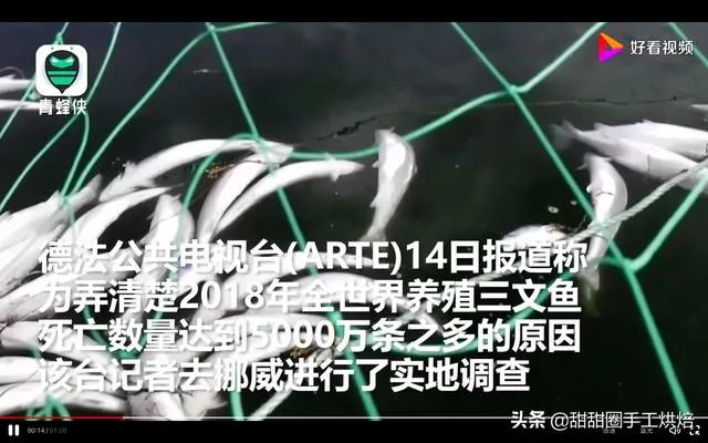 各地纷纷下架三文鱼,现在三文鱼还能吃吗?
