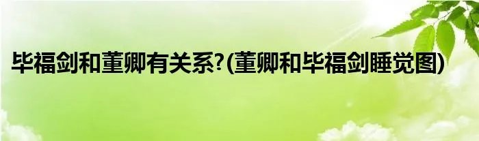 毕福剑和董卿有关系?(董卿和毕福剑睡觉图)
