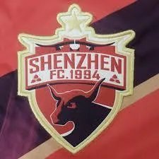 天海一旦无缘中超,替补进入中超的将是深圳兆业佳队,深圳队在中超的前景如何?