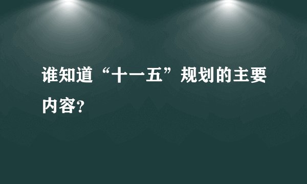 谁知道“十一五”规划的主要内容？