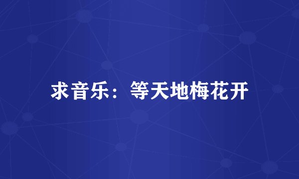求音乐：等天地梅花开