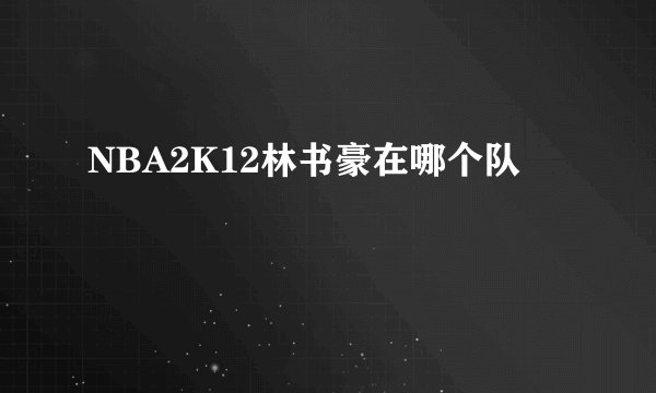 NBA2K12林书豪在哪个队
