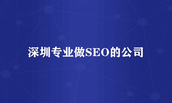 深圳专业做SEO的公司