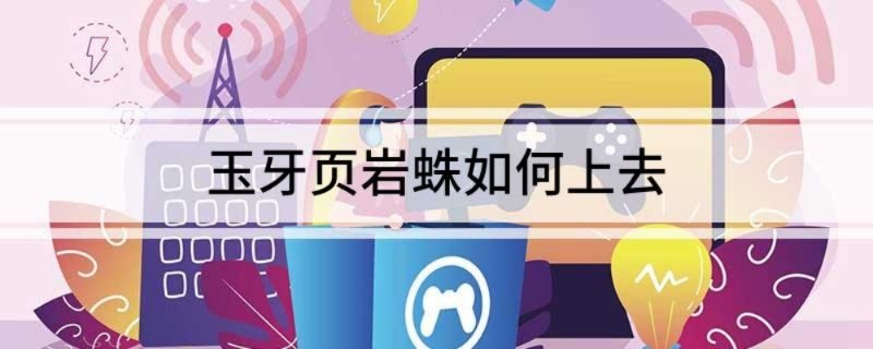 玉牙页岩蛛如何上去