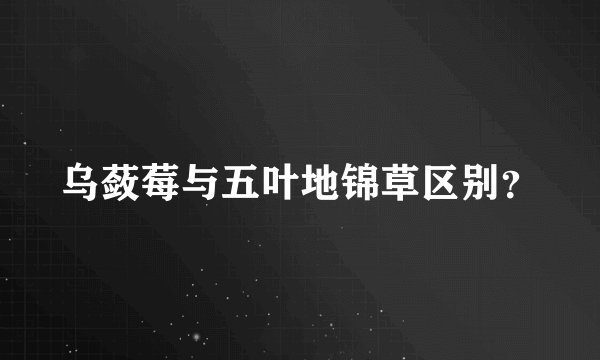 乌蔹莓与五叶地锦草区别？