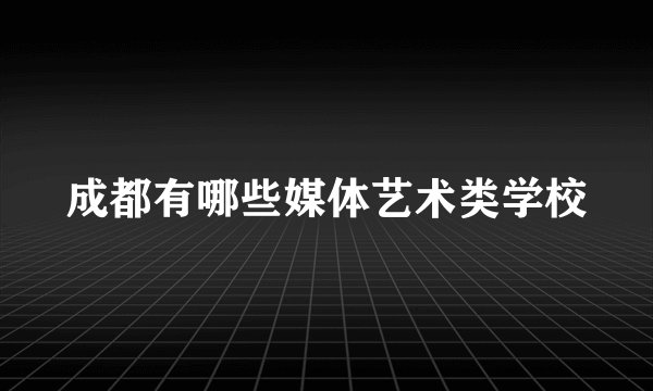 成都有哪些媒体艺术类学校