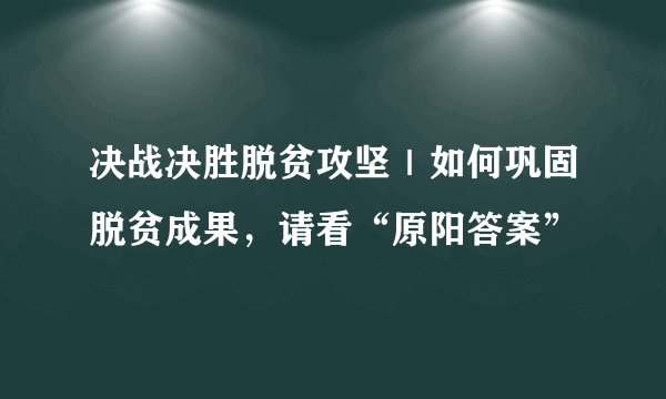 决战决胜脱贫攻坚｜如何巩固脱贫成果，请看“原阳答案”