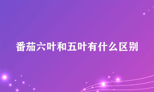 番茄六叶和五叶有什么区别