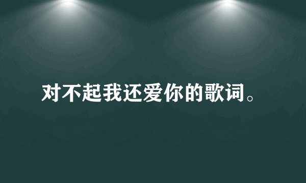 对不起我还爱你的歌词。