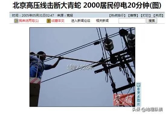 过去鸟筑巢都是在树上,为什么现在都在高压线铁塔上筑巢?