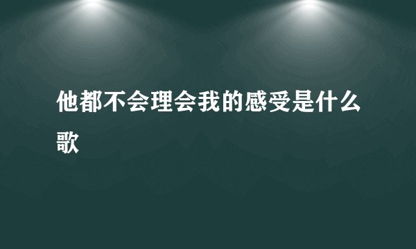 他都不会理会我的感受是什么歌