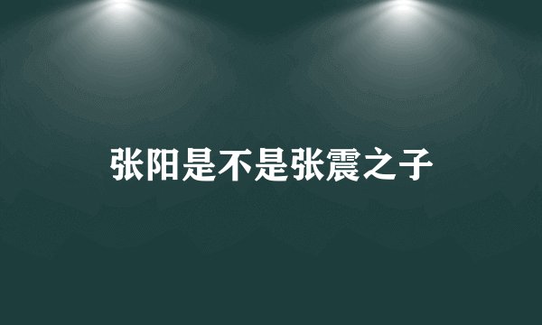 张阳是不是张震之子