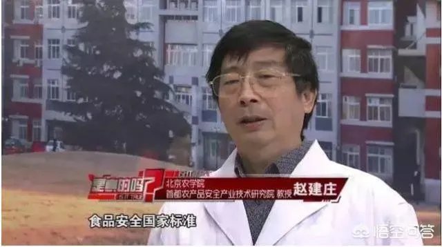 喝茶要先洗茶吗?茶叶中有没有农药的残留?