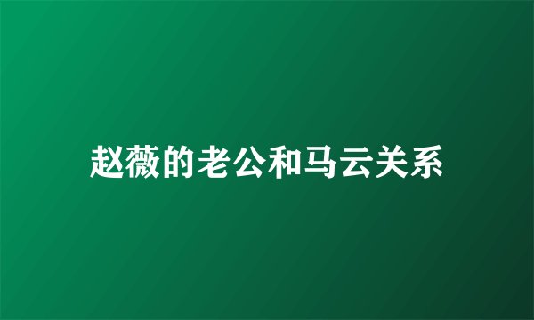 赵薇的老公和马云关系