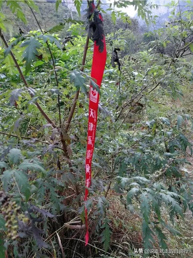 和驴友