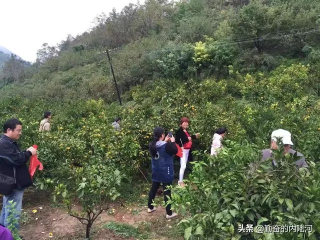 西安到汉中三日新手自驾游攻略有哪些?