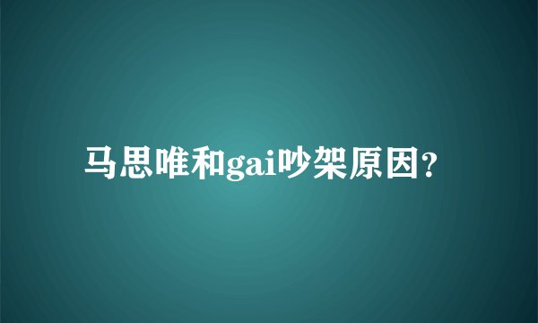 马思唯和gai吵架原因?