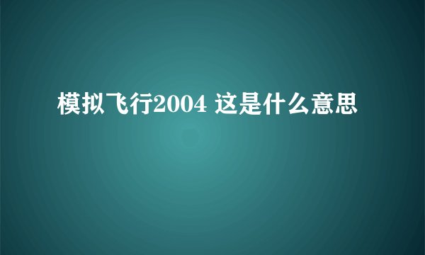 模拟飞行2004 这是什么意思