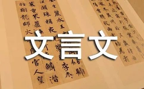 智子疑邻文言文翻译