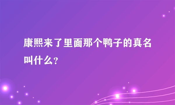 康熙来了里面那个鸭子的真名叫什么？
