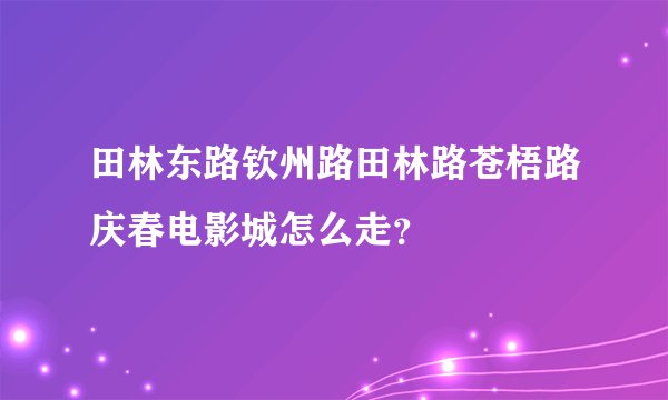 田林东路钦州路田林路苍梧路庆春电影城怎么走？