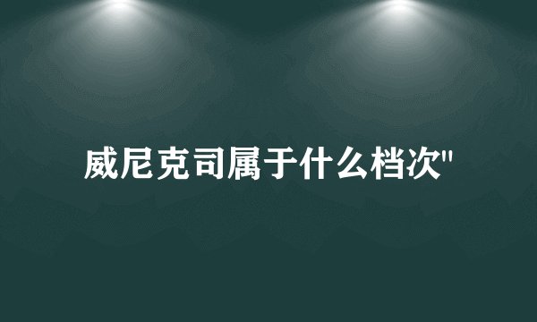 威尼克司属于什么档次