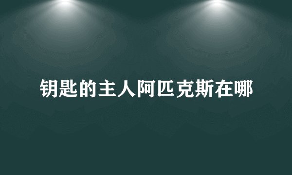 钥匙的主人阿匹克斯在哪