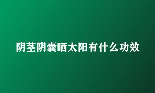 阴茎阴囊晒太阳有什么功效