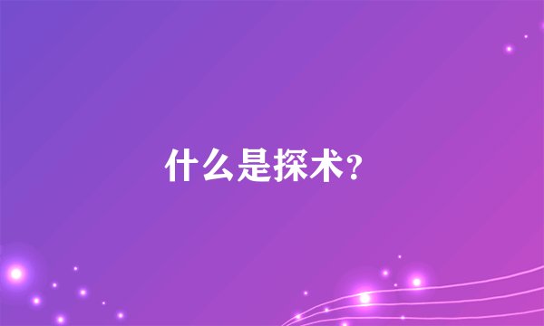 什么是探术？