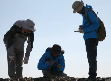 哀牢山遇难4人最小年仅25岁,均当过兵,他们究竟是如何遇难的?