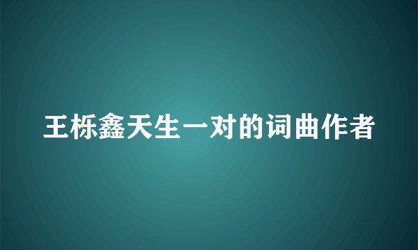 王栎鑫天生一对的词曲作者
