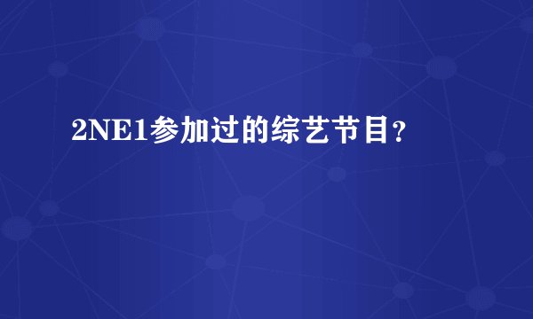 2NE1参加过的综艺节目？