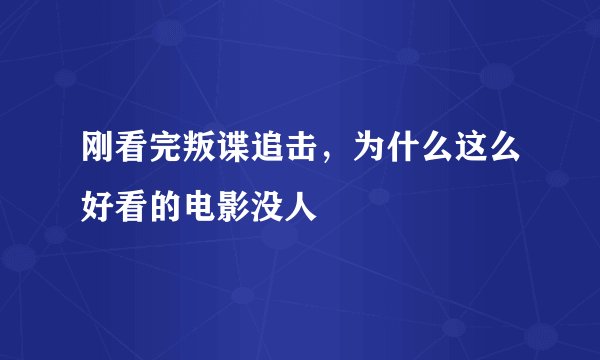 刚看完叛谍追击，为什么这么好看的电影没人