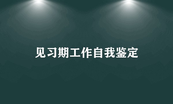 见习期工作自我鉴定