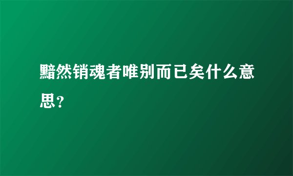 黯然销魂者唯别而已矣什么意思？
