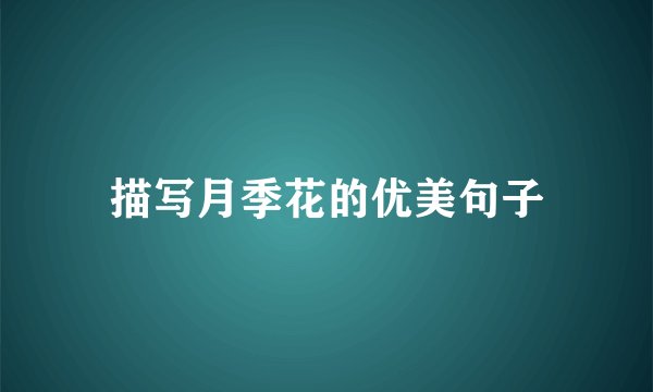 描写月季花的优美句子
