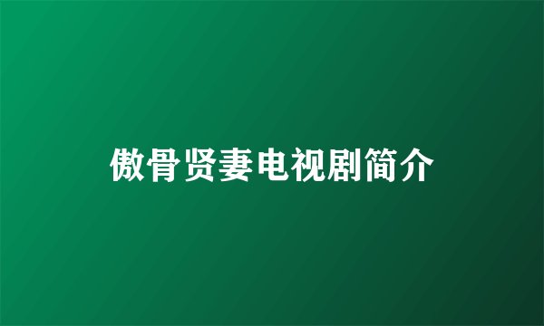 傲骨贤妻电视剧简介