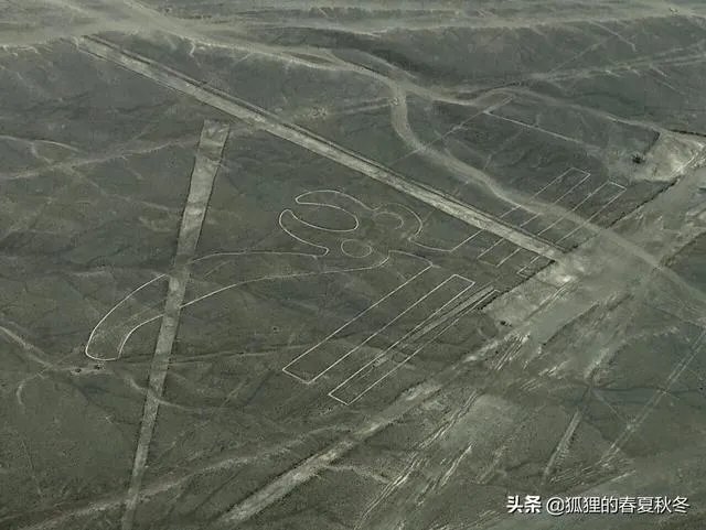 秘鲁纳斯卡线
