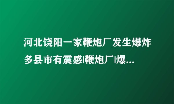 河北饶阳一家鞭炮厂发生爆炸多县市有震感|鞭炮厂|爆炸|自燃_飞外新闻
