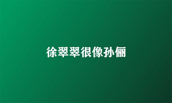 徐翠翠很像孙俪
